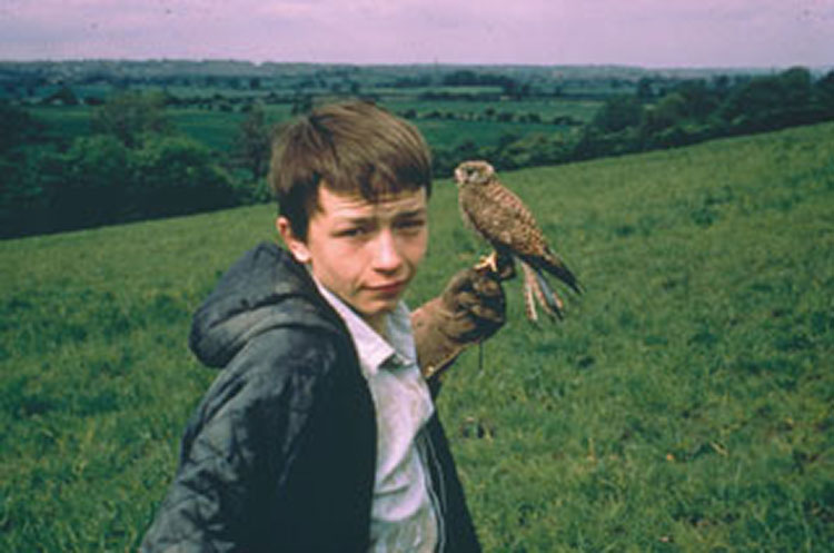 小孩与鹰剧照的剧照