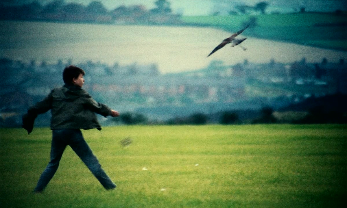 小孩与鹰剧照的剧照