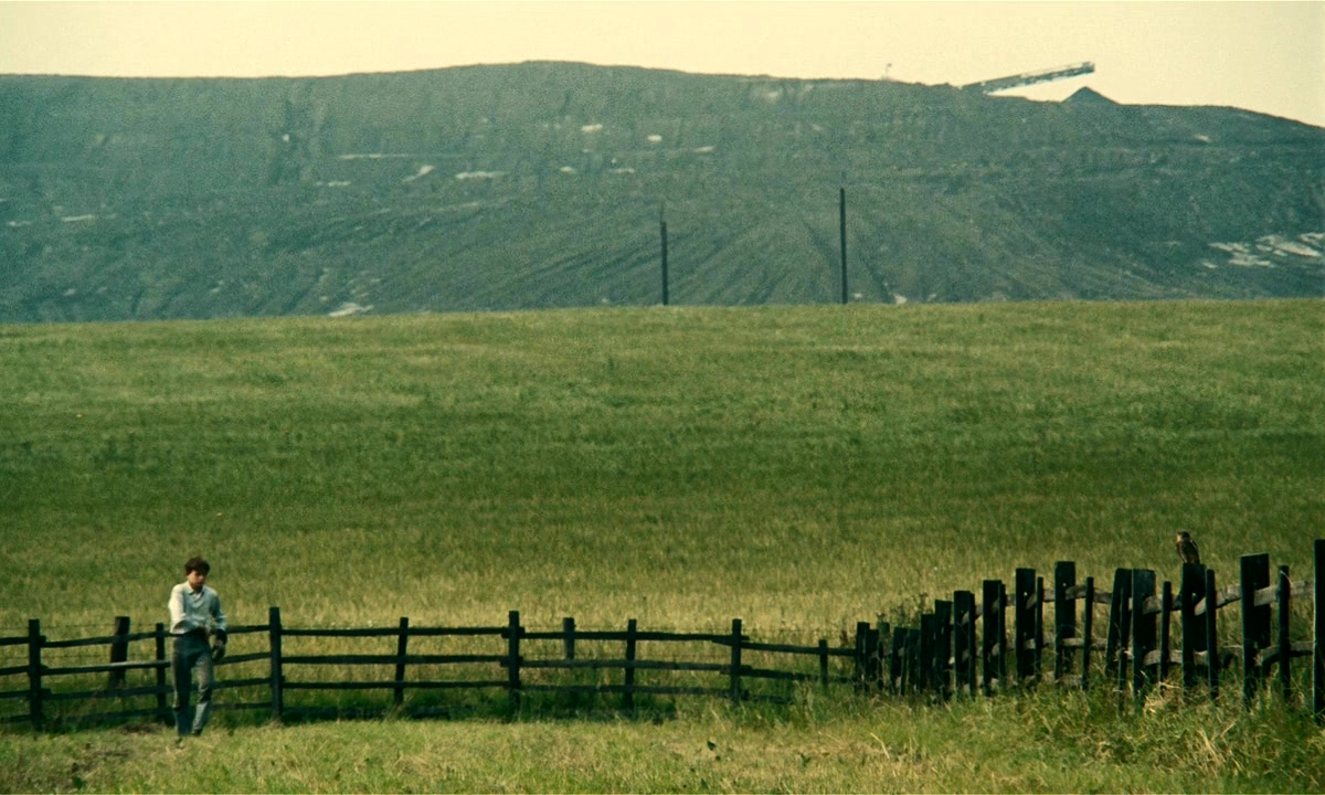 小孩与鹰剧照的剧照