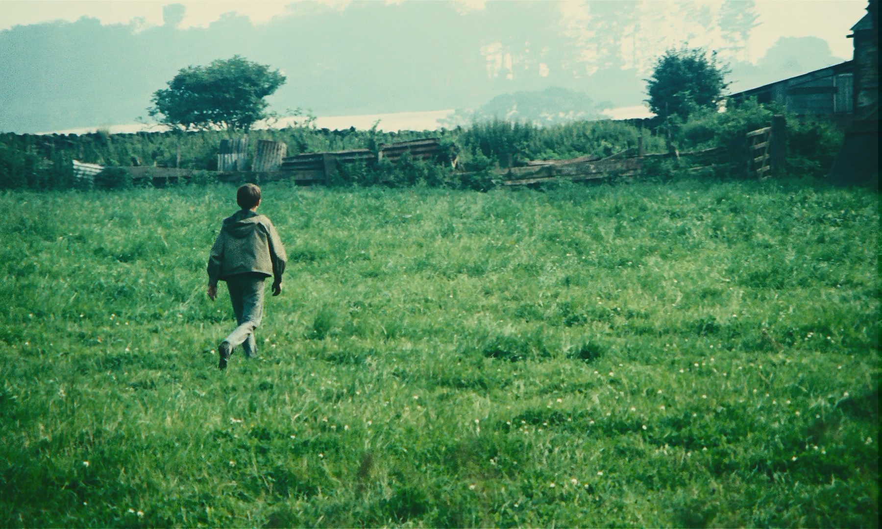 小孩与鹰剧照的剧照