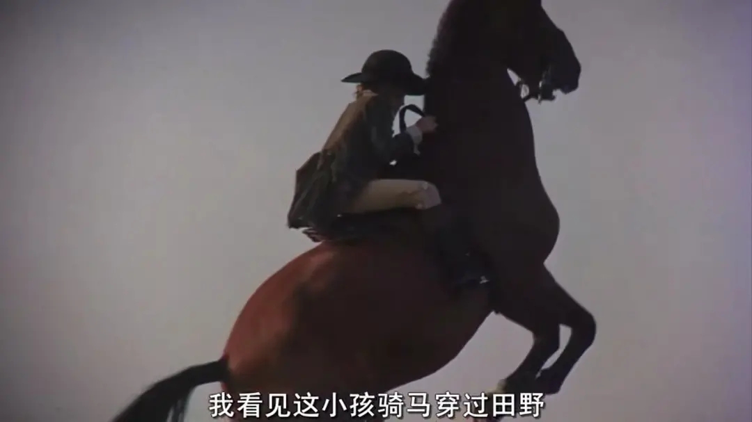 巴里·林登剧照的剧照