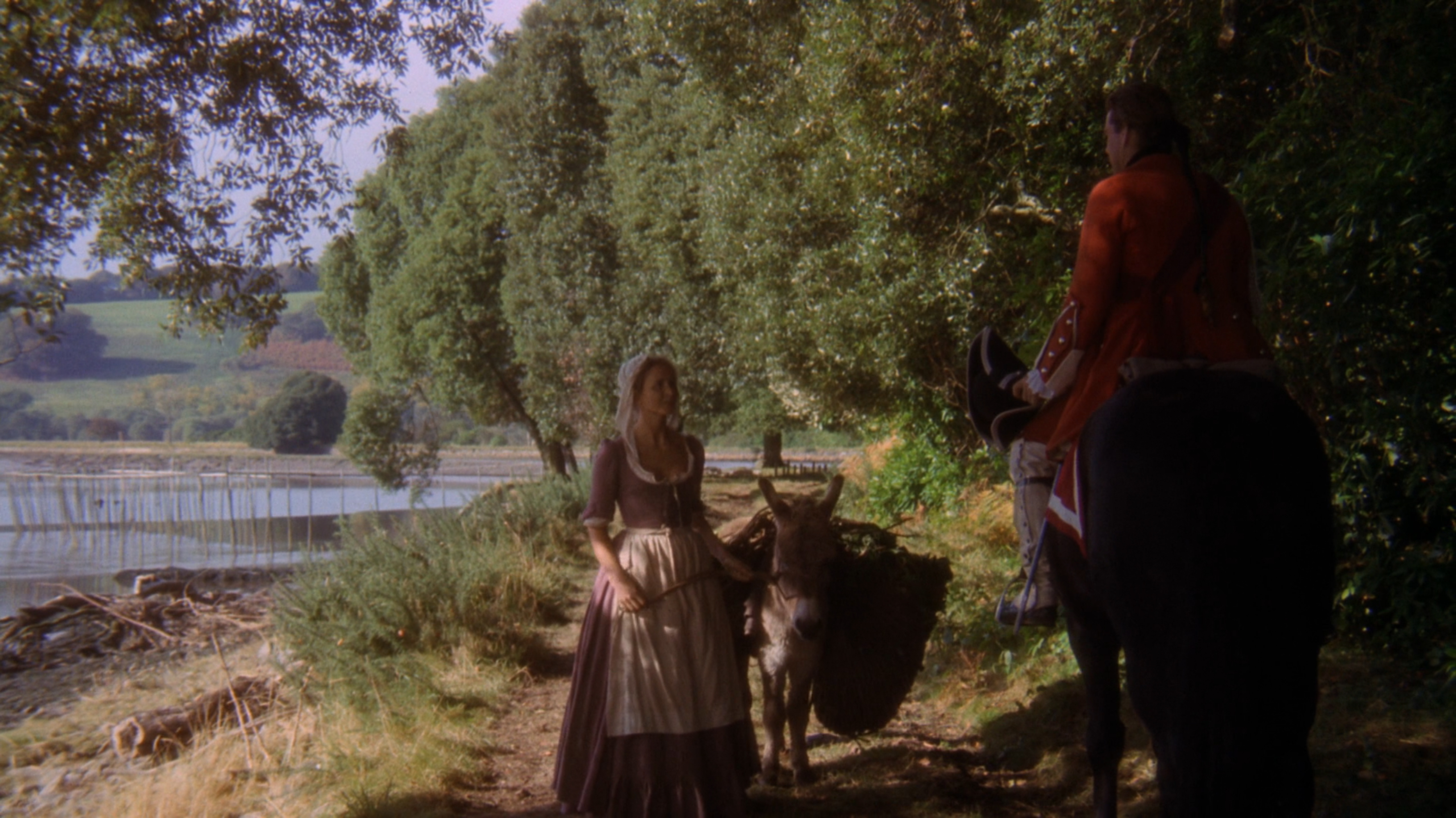 巴里·林登剧照的剧照