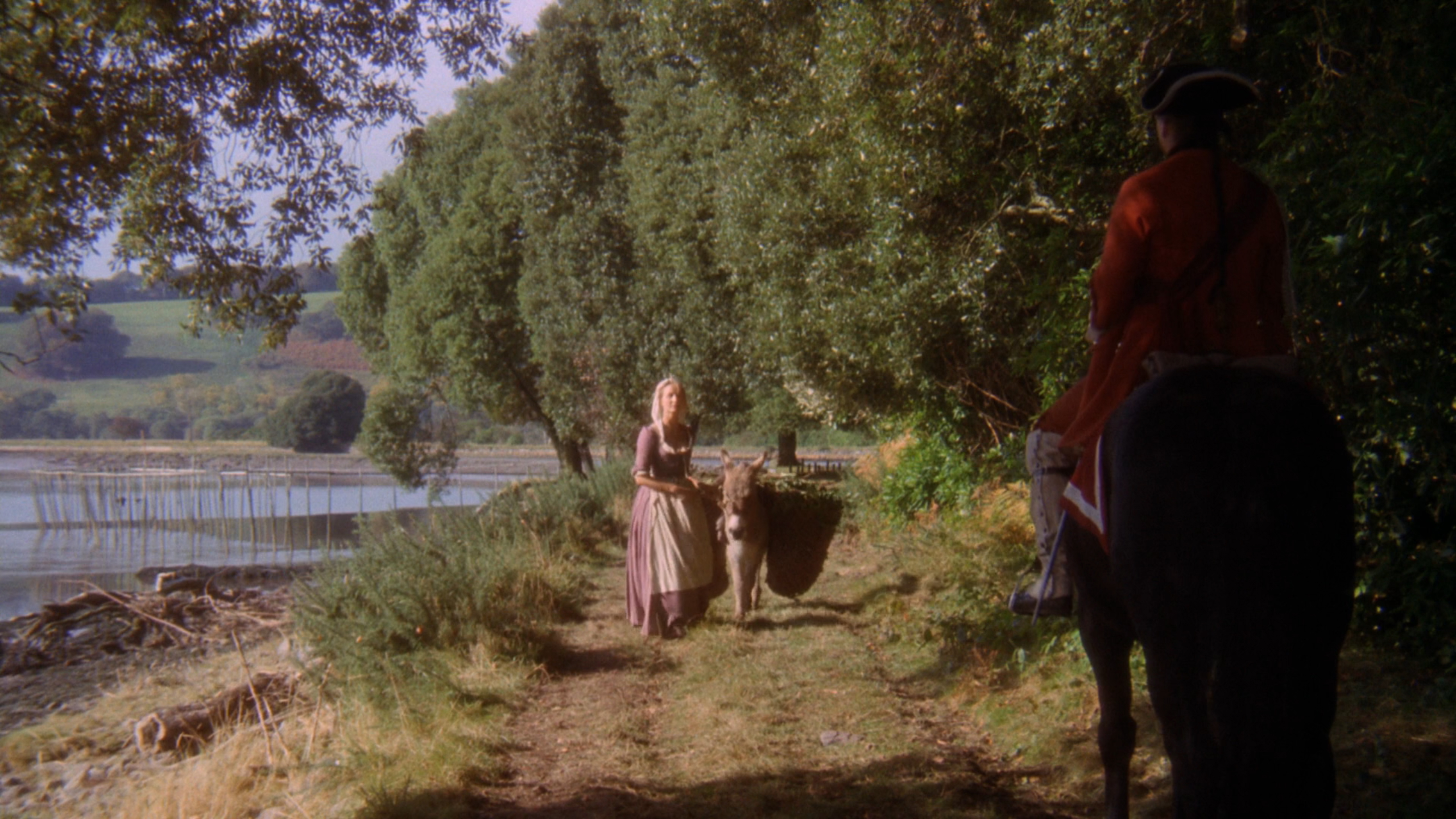 巴里·林登剧照的剧照