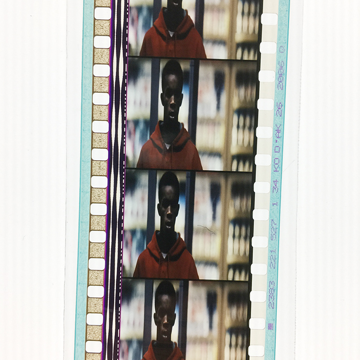 自由作家剧照的剧照