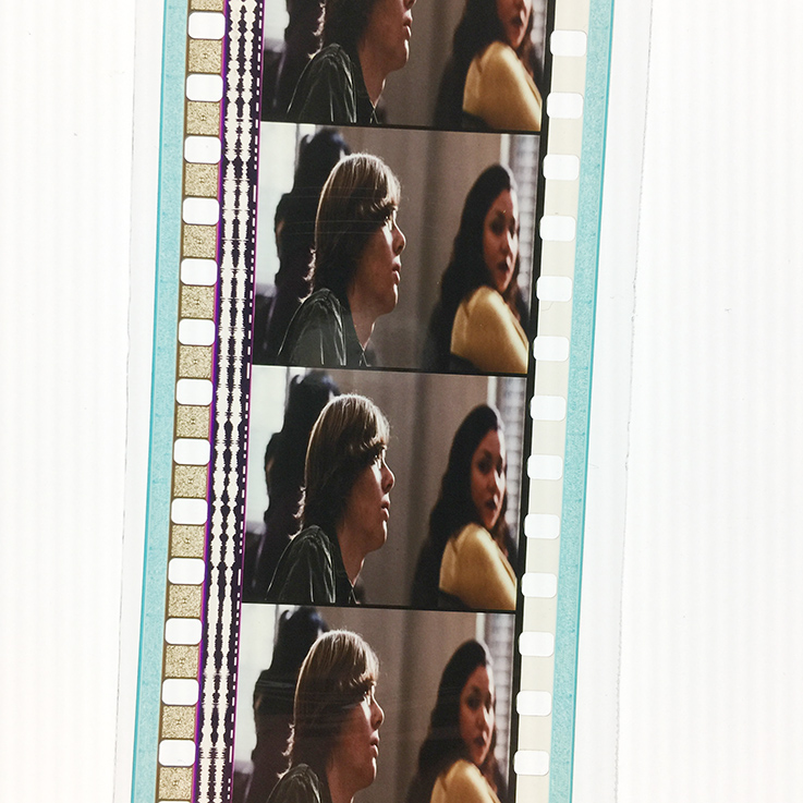 自由作家剧照的剧照