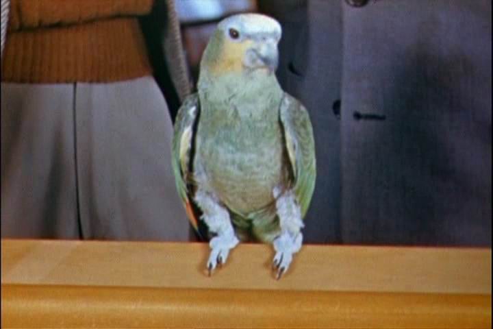 致候吾友剧照的剧照