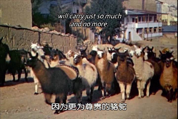 致候吾友剧照的剧照