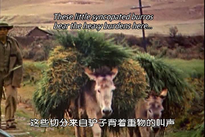 致候吾友剧照的剧照