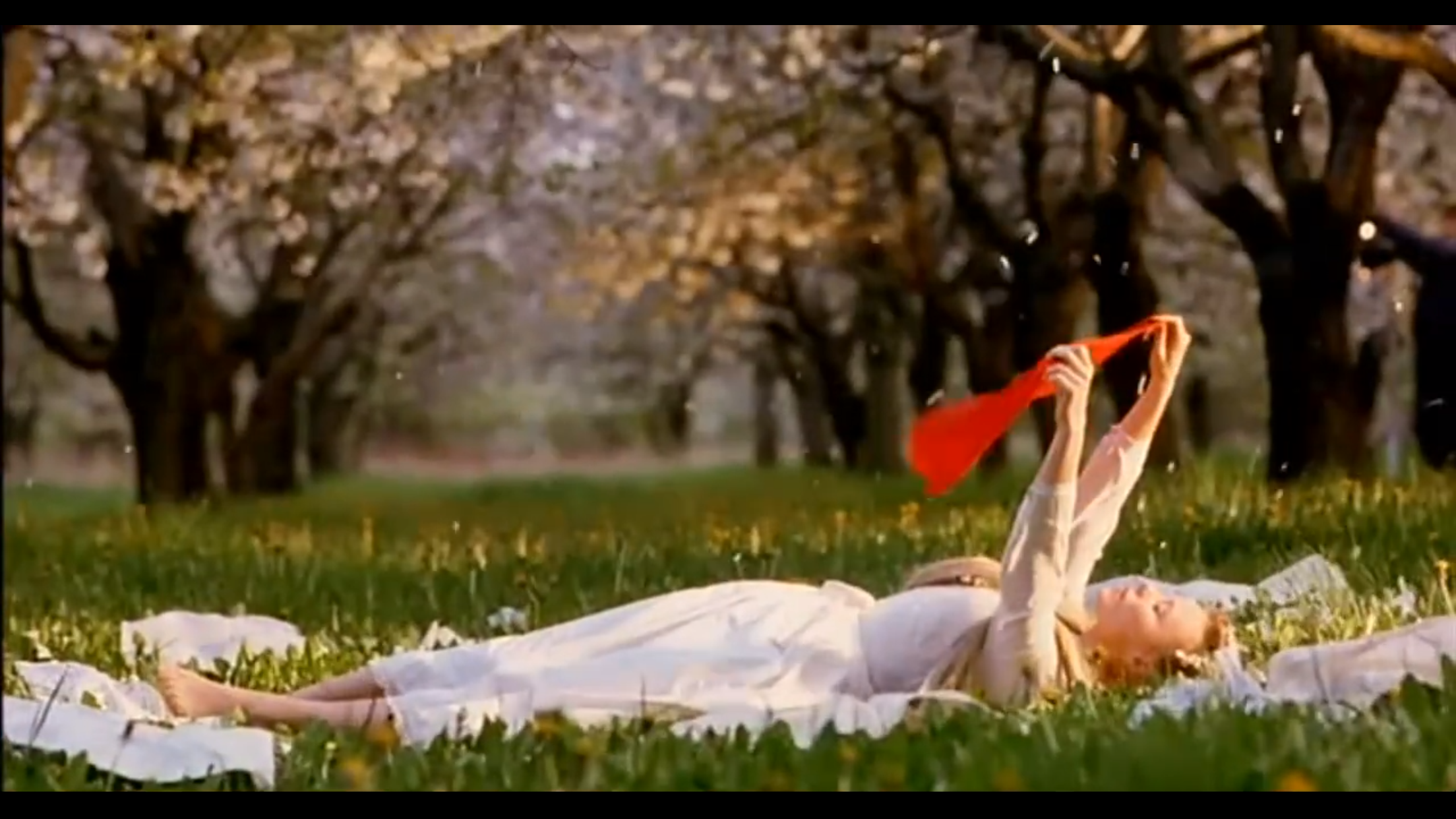 野花剧照的剧照