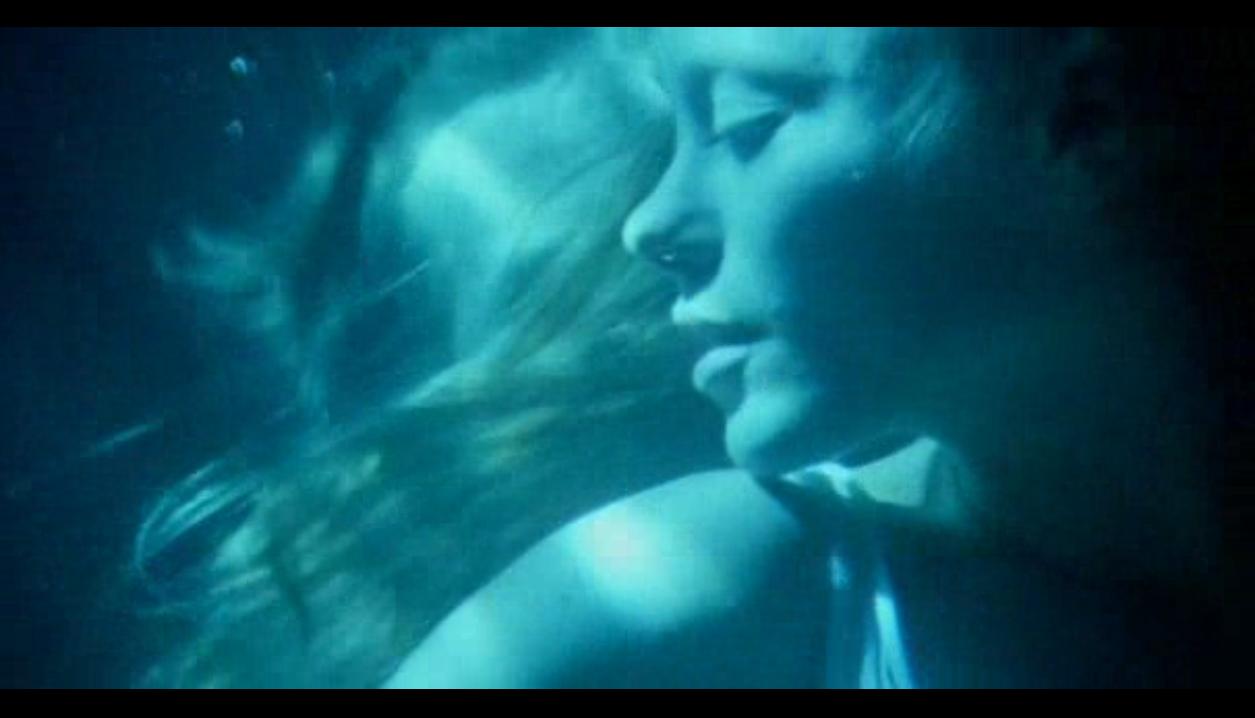 野花剧照的剧照