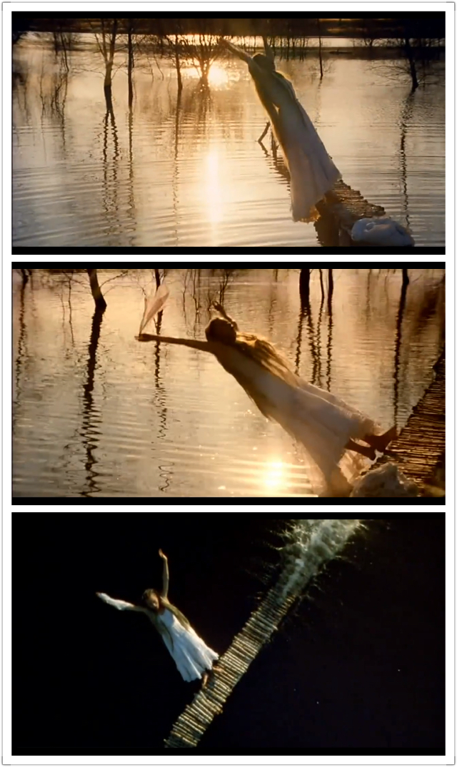 野花剧照的剧照