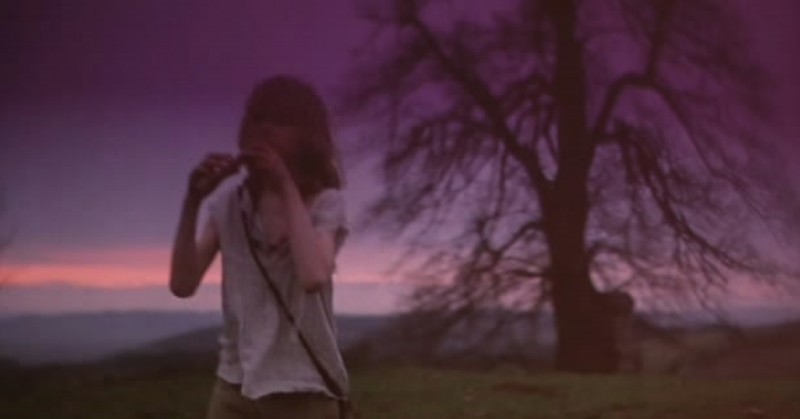 野花剧照的剧照