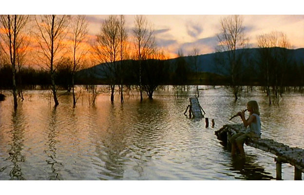 野花剧照的剧照