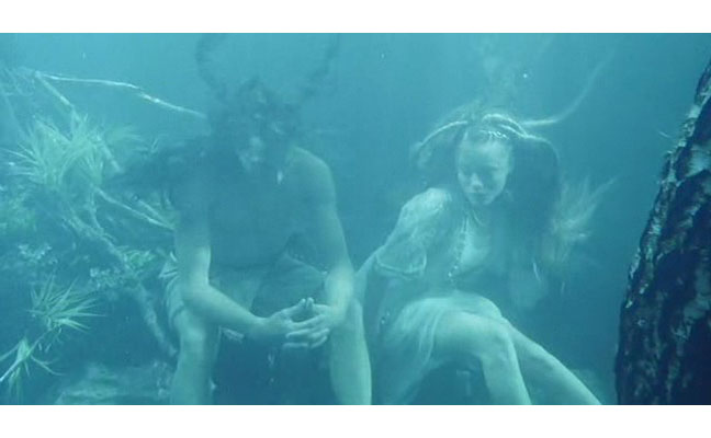 野花剧照的剧照