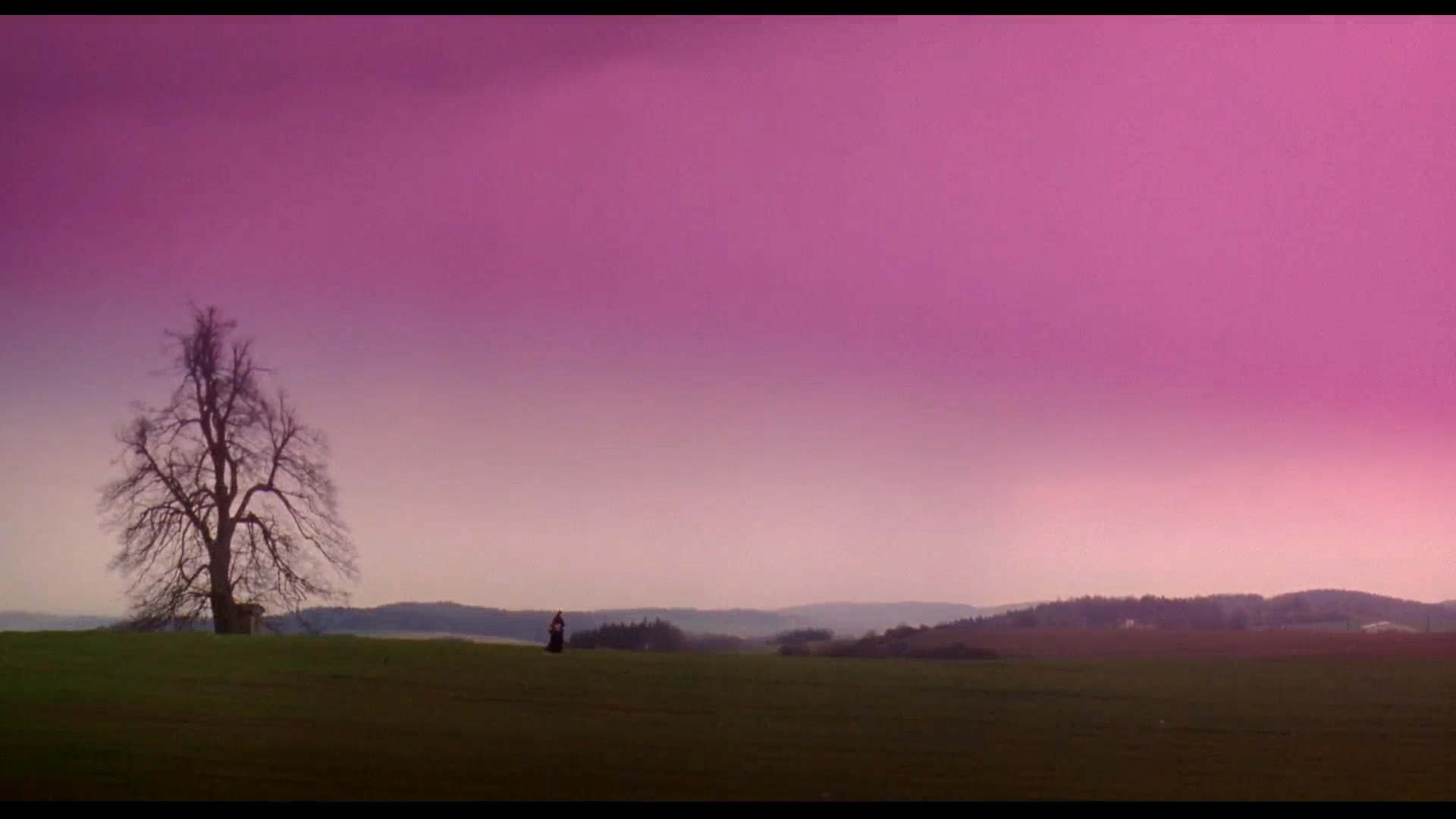 野花剧照的剧照