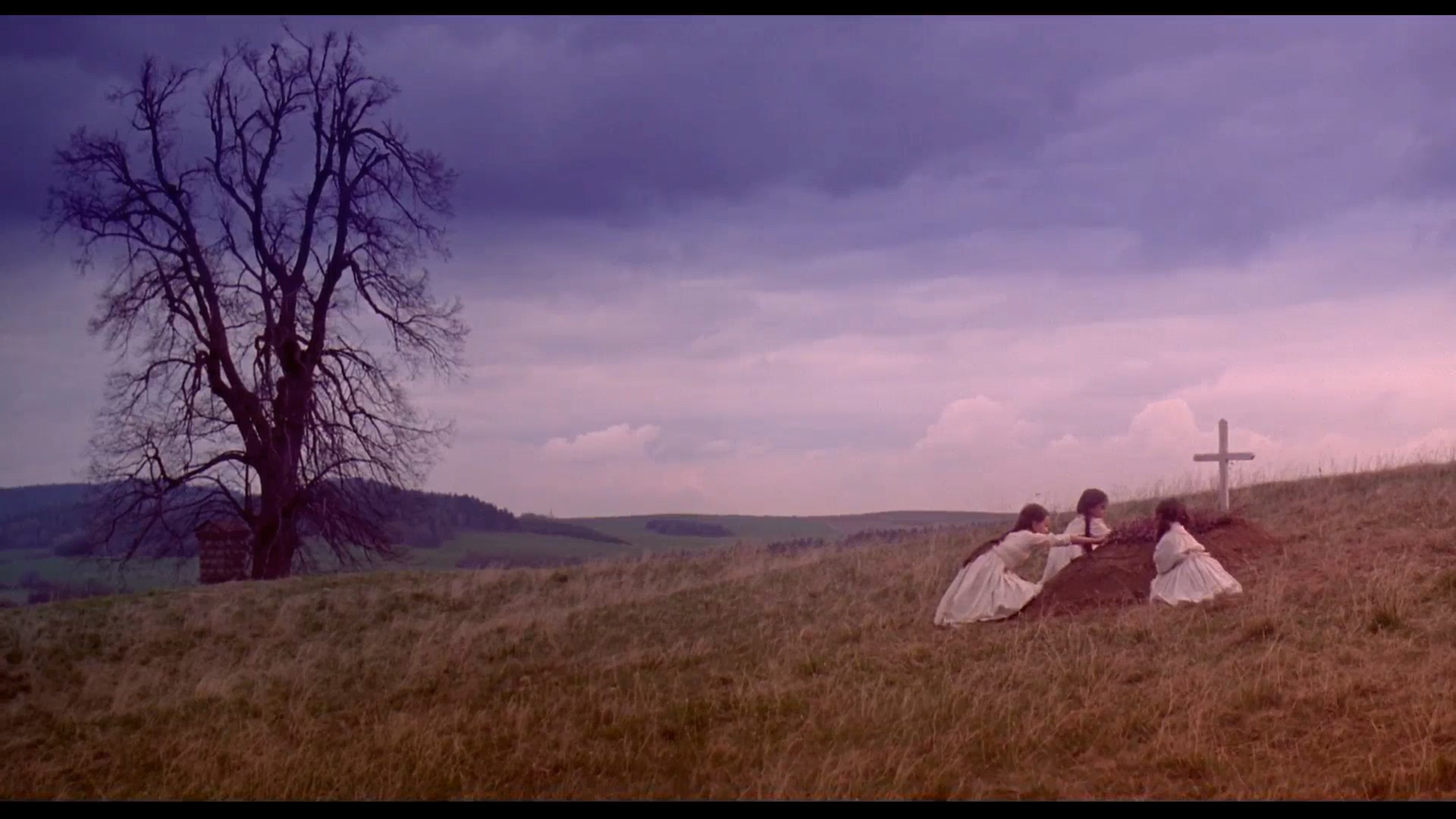 野花剧照的剧照