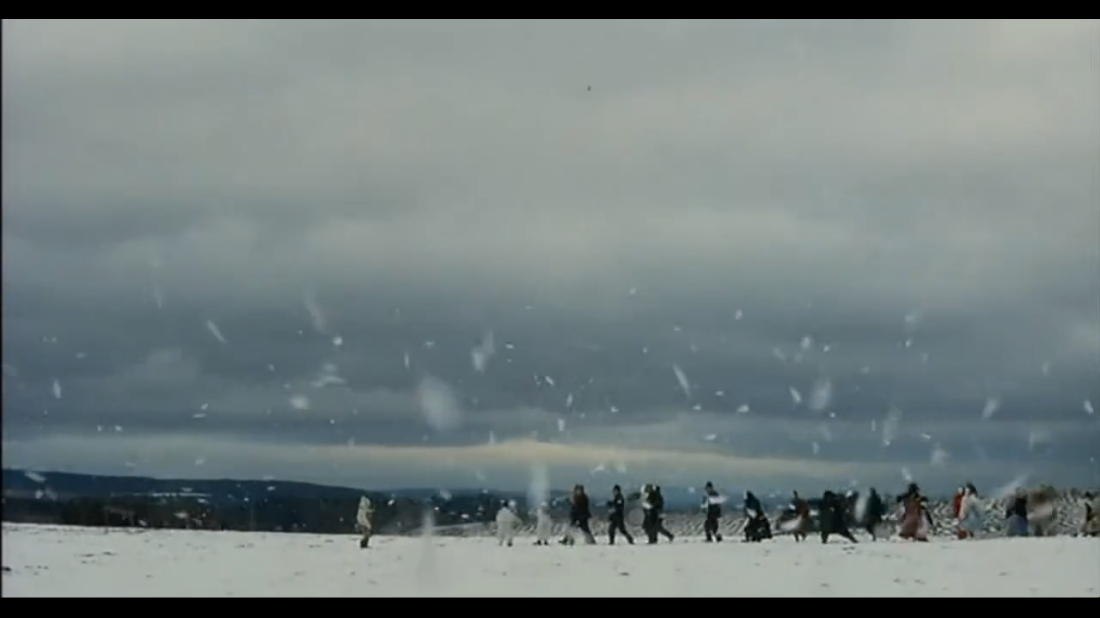 野花剧照的剧照