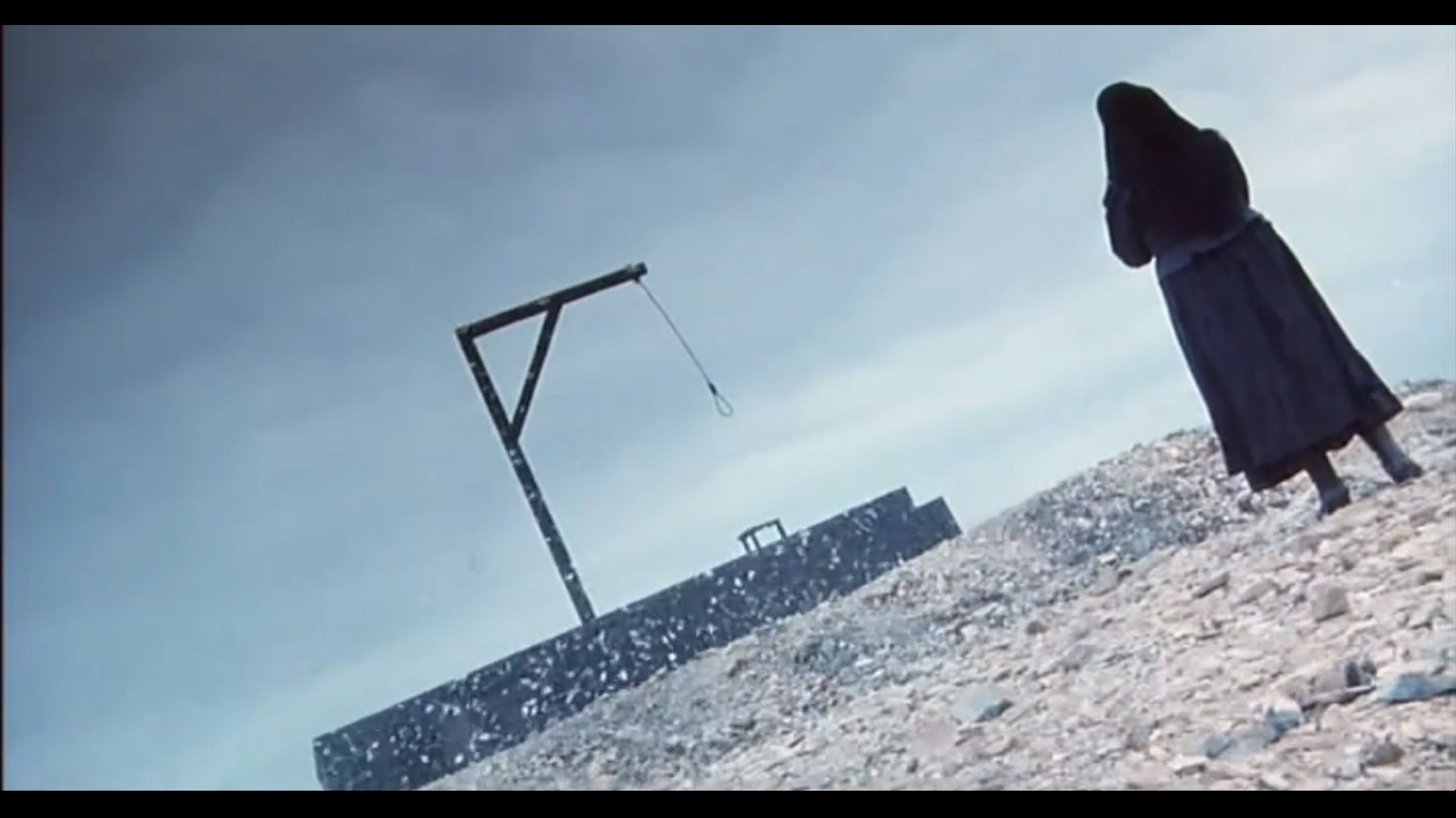 野花剧照的剧照