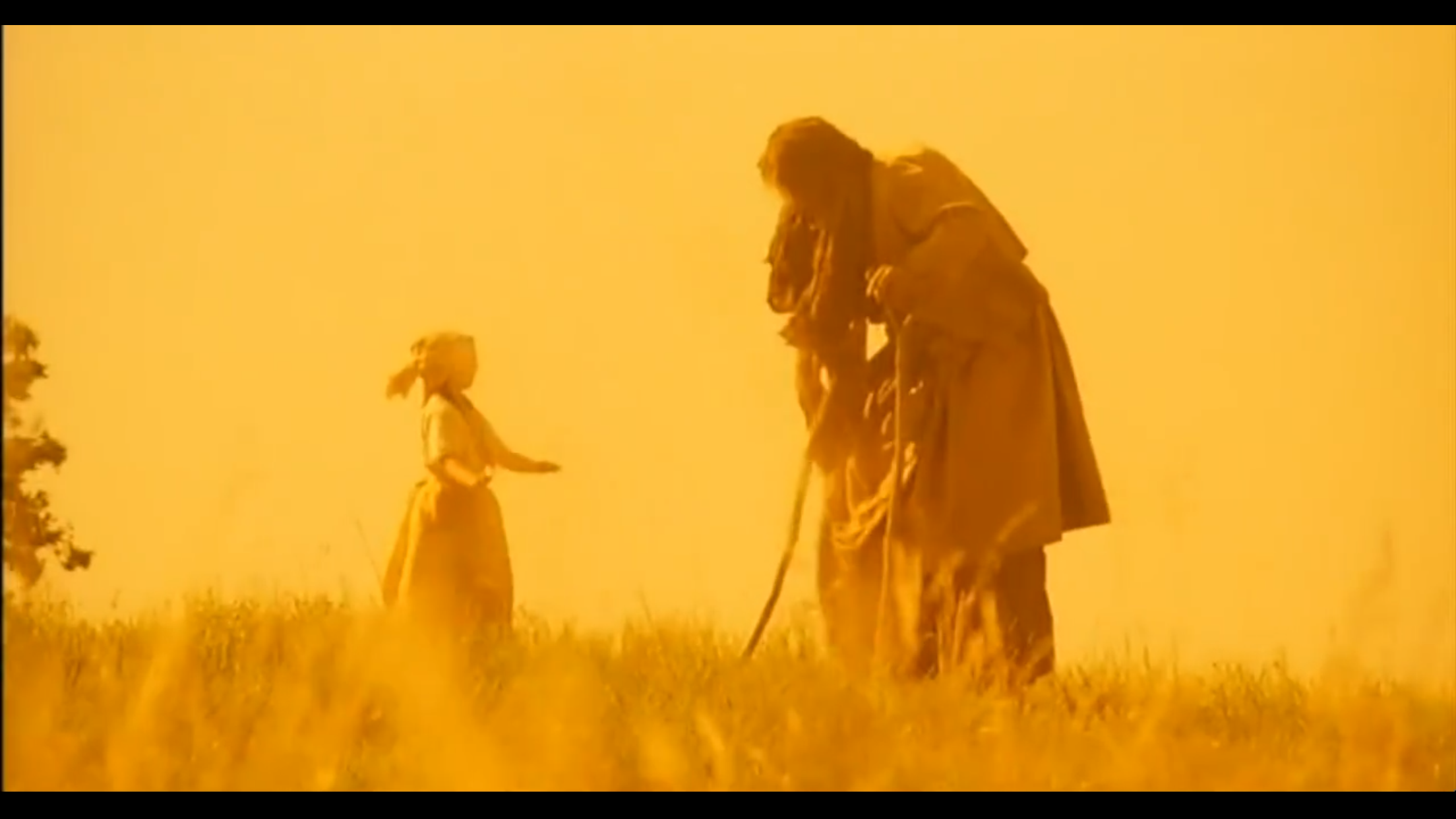 野花剧照的剧照