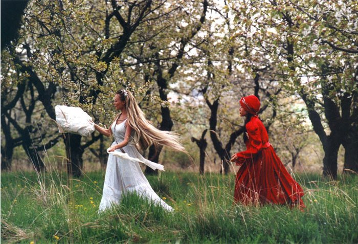 野花剧照的剧照