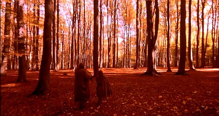 野花剧照的剧照