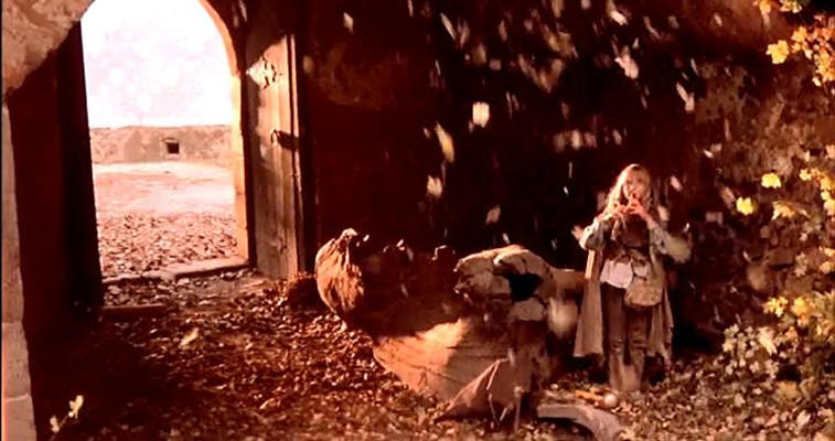 野花剧照的剧照