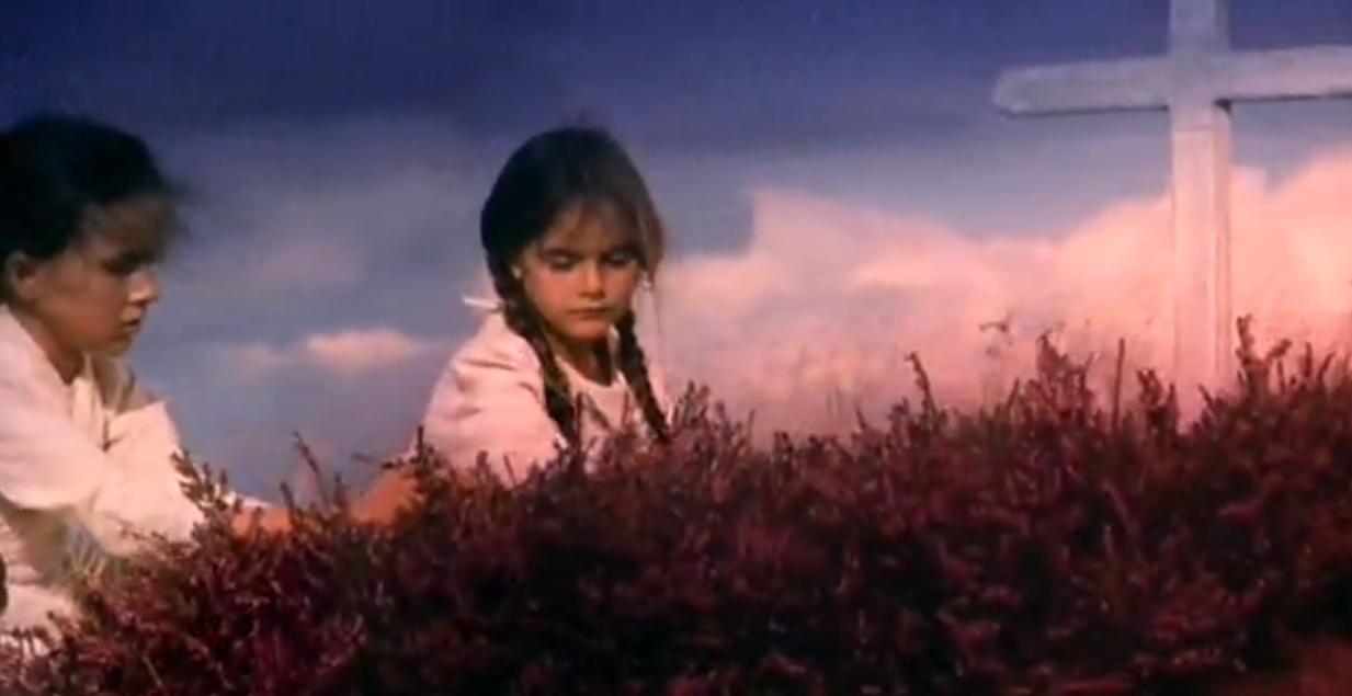 野花剧照的剧照