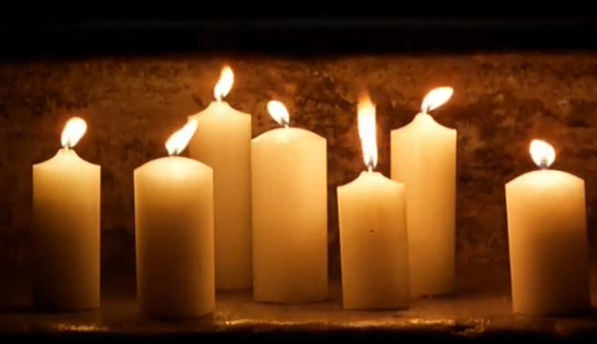 野花剧照的剧照