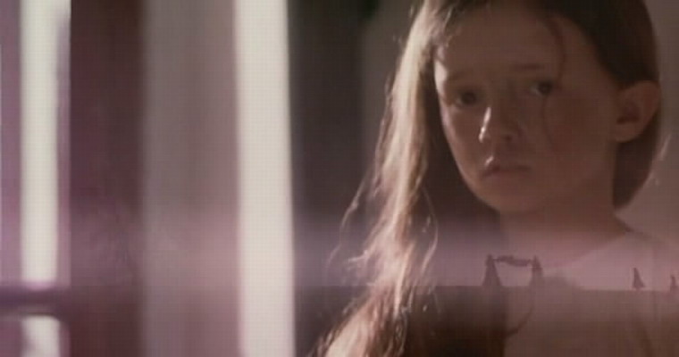 野花剧照的剧照