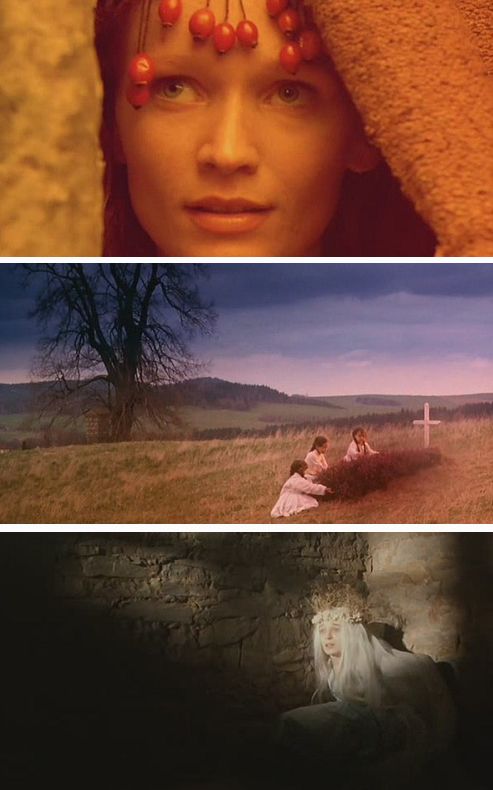 野花剧照的剧照