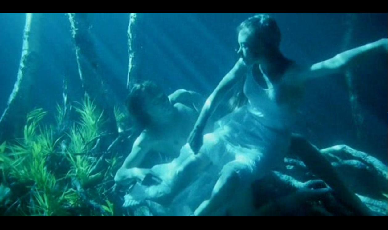 野花剧照的剧照