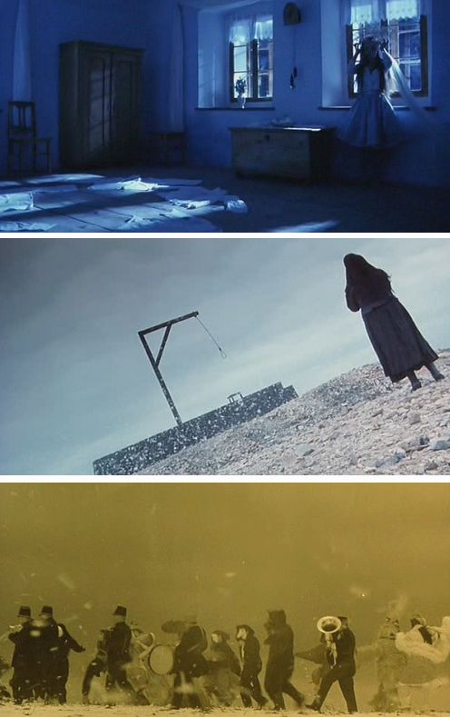 野花剧照的剧照