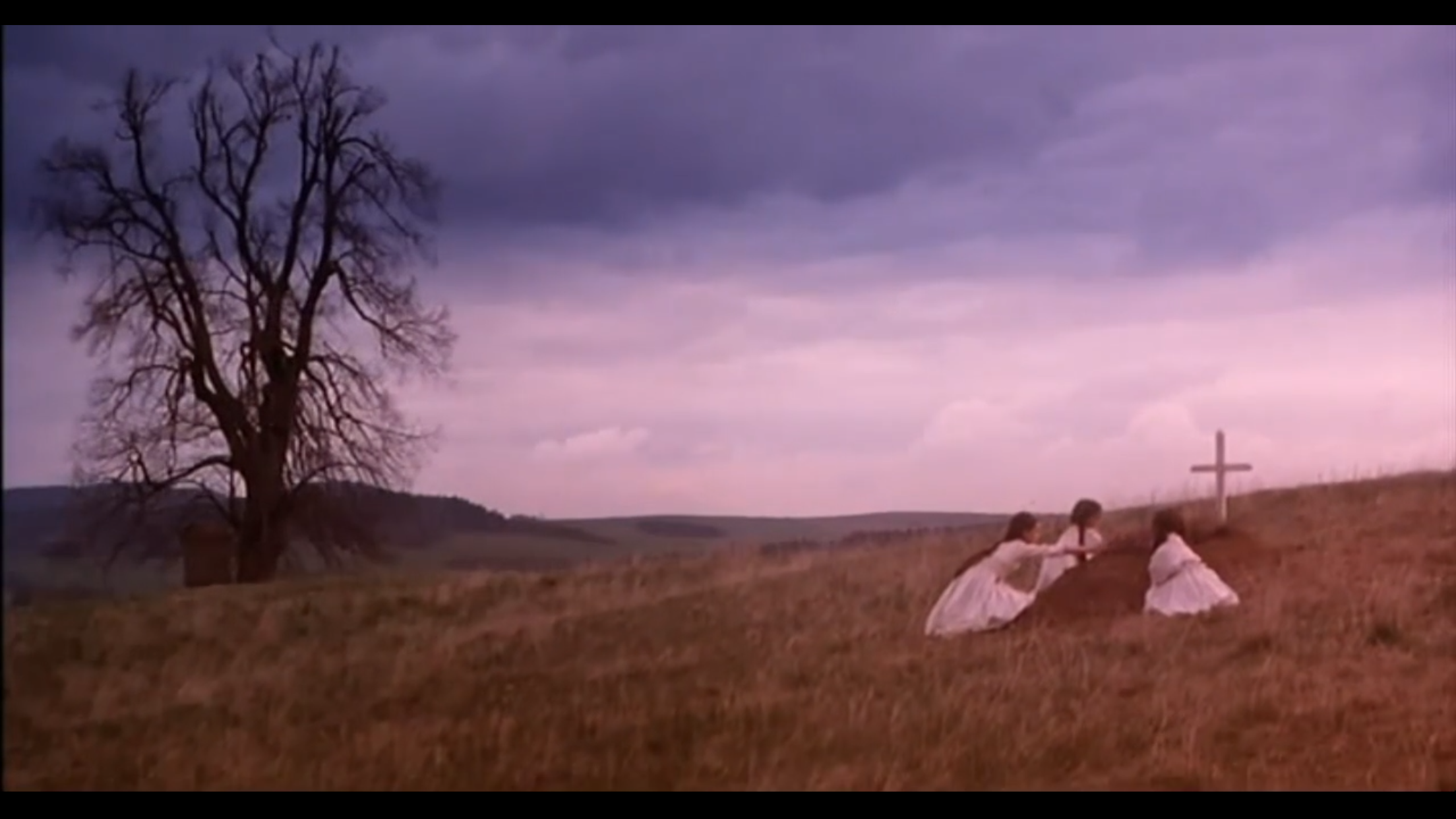 野花剧照的剧照