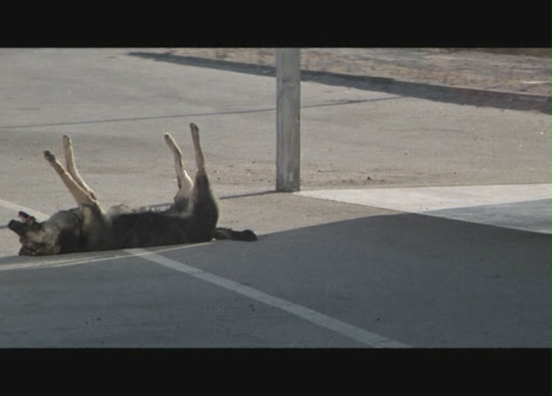 冒烟剧照的剧照