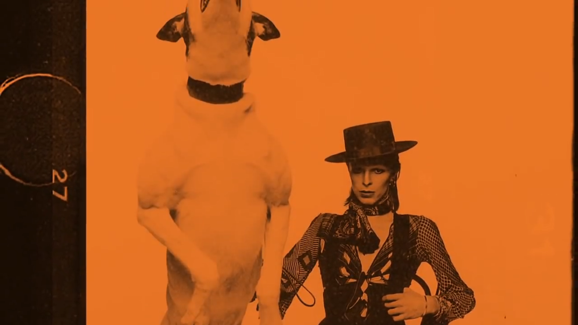 大卫鲍伊 is 正在进行剧照的剧照