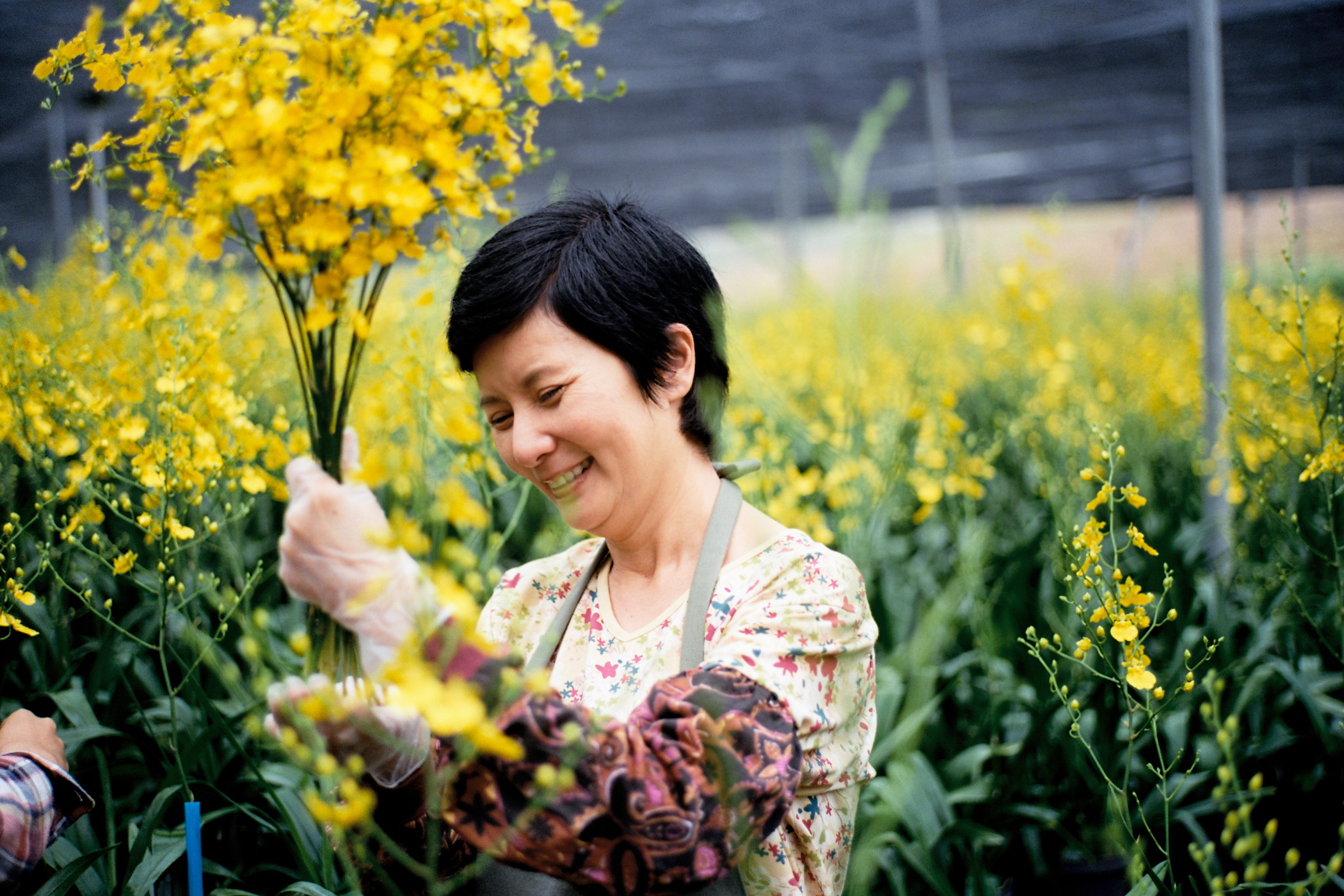 逆光飞翔剧照的剧照