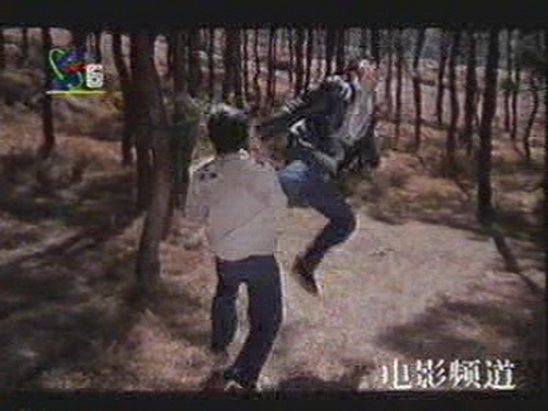 峨眉飞盗剧照的剧照