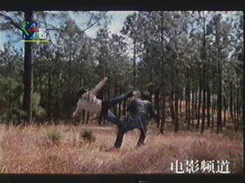 峨眉飞盗剧照的剧照