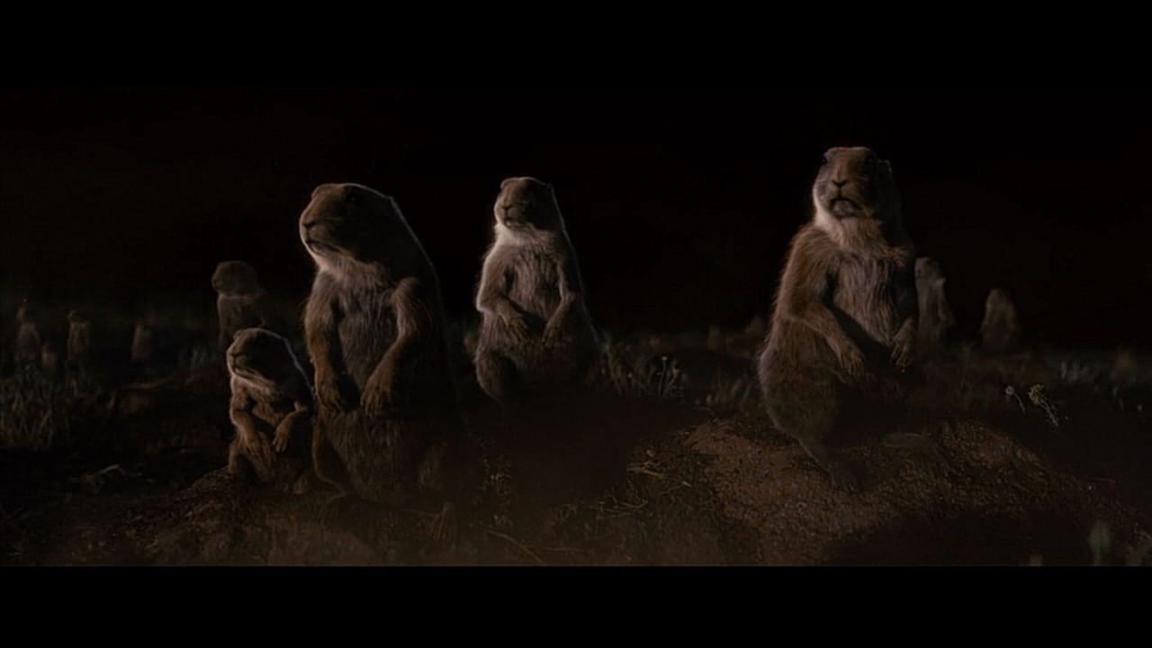 夺宝奇兵4剧照的剧照