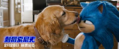 刺猬索尼克剧照的剧照