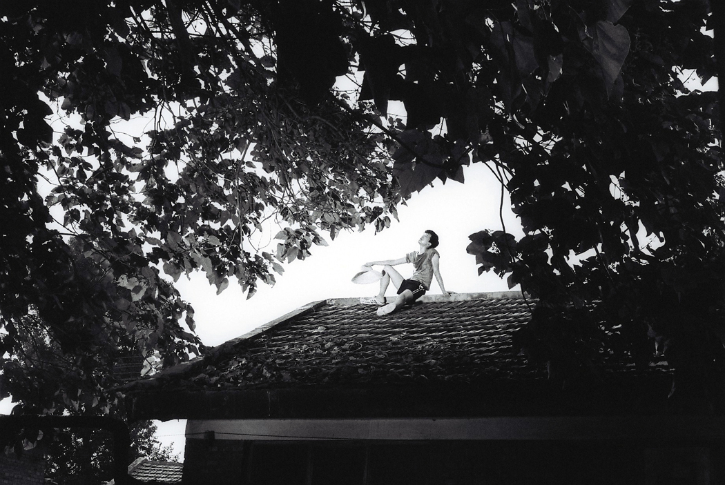 全城热恋剧照的剧照