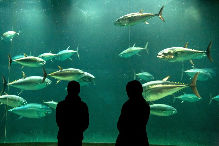 次世代机动警察：首都决战剧照的剧照