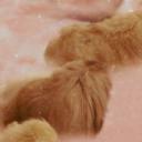 迪亚曼蒂诺剧照