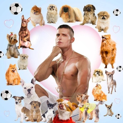 迪亚曼蒂诺剧照的剧照