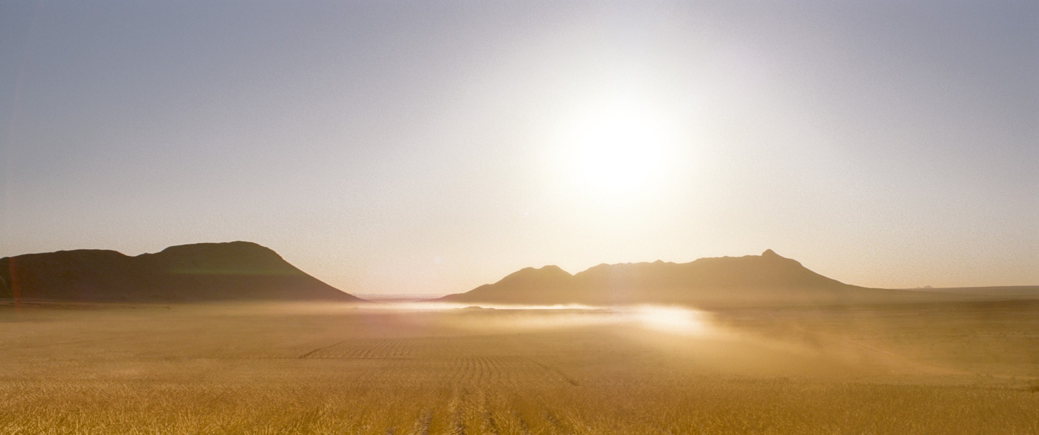 年轻人剧照的剧照