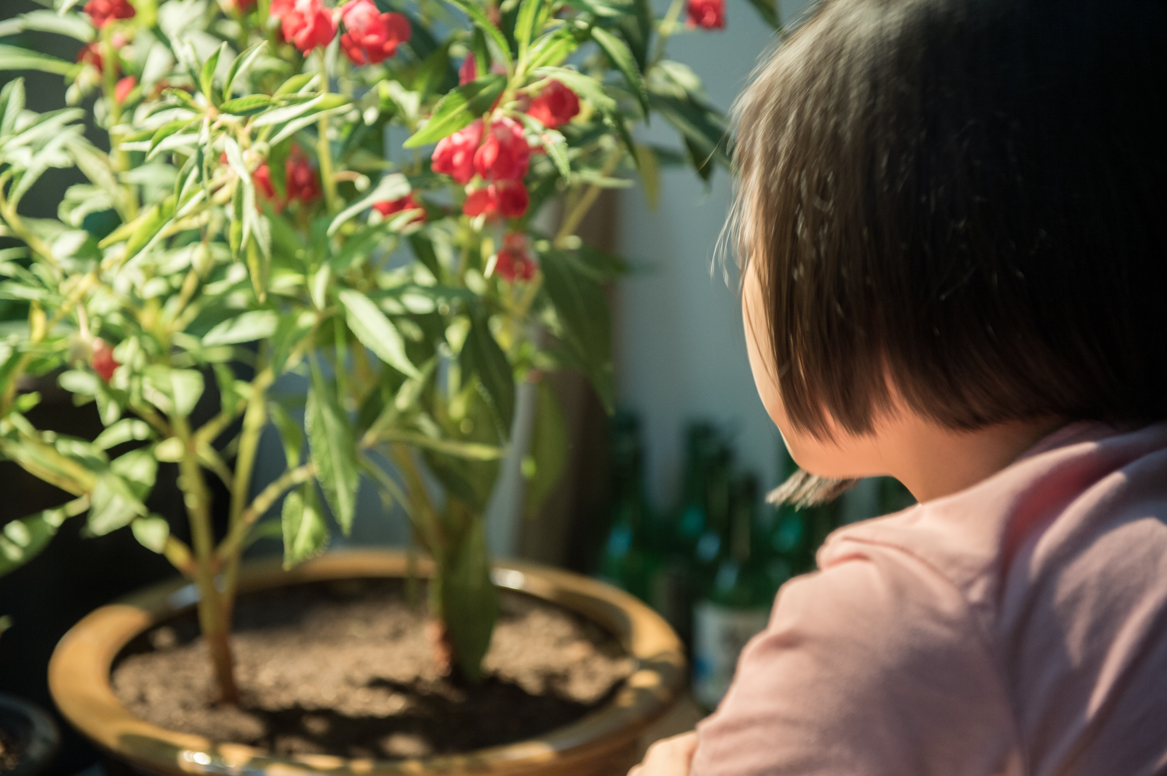 我们的世界剧照的剧照