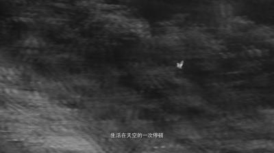 金刚经剧照的剧照