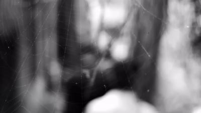 金刚经剧照的剧照