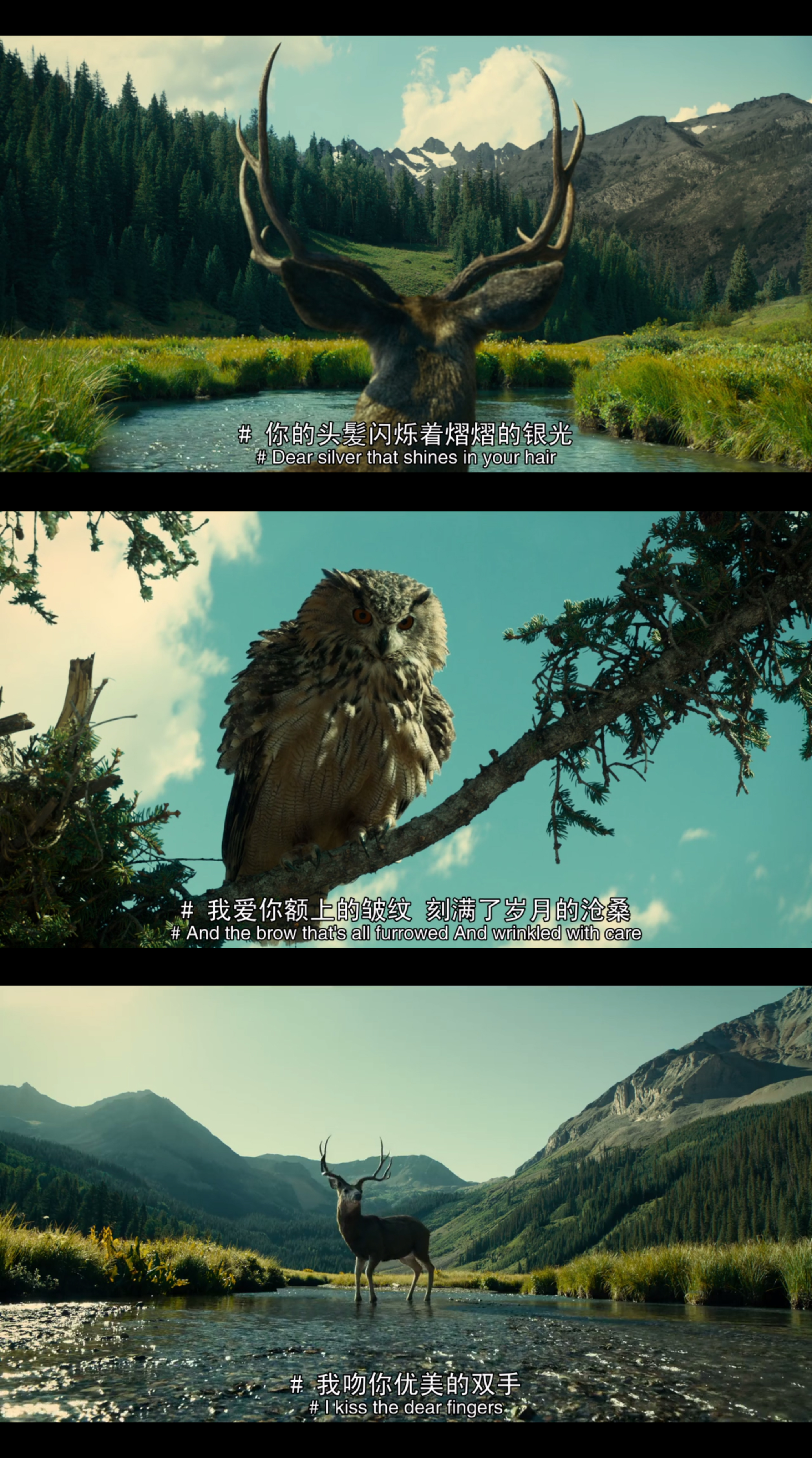 巴斯特·斯克鲁格斯的歌谣剧照的剧照