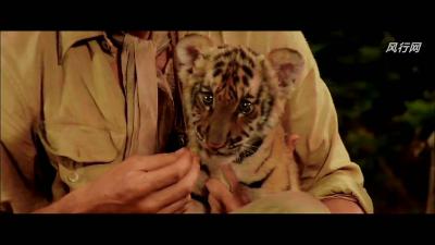 虎兄虎弟剧照的剧照